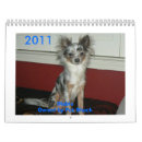 Search for chihuahua calendars Pet