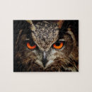 Search for owl eye Owl eyes