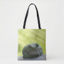 Search for tree frog bags Nature