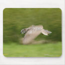 Search for horned owl mousepads Animal