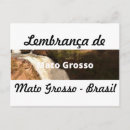 Search for grosso Mato grosso