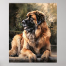 Recherche de leonberg posters Pour tous
