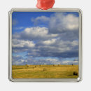 Search for fertility ornaments Farm