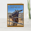 Search for donkey cards Horse