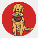 Search for cute puppy cartoon stickers Golden retriever