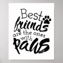 Recherche de compagnon animal posters Animaux domestiques