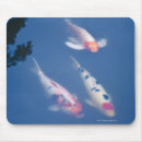 Search for carp electronics High angle view
