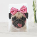 Search for pretty pet cards Funny