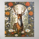 Search for amid posters Animal