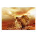 Search for lioness posters Brown