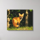 Search for fox canvas prints Nature