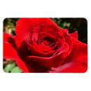 Recherche de vif magnets Floral