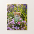 Recherche de pomeranian puzzles Pomérien