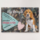 Recherche de chien beagle puzzles Amoureux des chiens