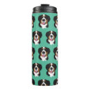 Recherche de berner tasses Bernèse chien de montagne