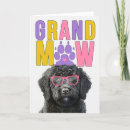 Search for black doodle Labradoodle