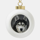 Search for husky ornaments Animal