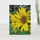 Search for sunflower thank you cards Garden