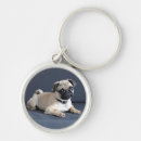 Search for couch keychains Dog