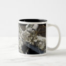 Recherche de botte tasses Extérieur