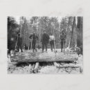 Search for loggers postcards Vintage