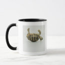 Recherche de coquille tortue tasses Froid blooded
