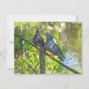 Recherche de deux colombes vœux cartes Oiseaux