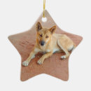 Search for create star ornaments Pet