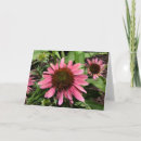 Recherche de horticulture vœux cartes Floral