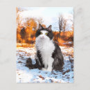 Recherche de fuz Animaux