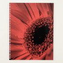 Recherche de macro de fleur bureau fournitures Rouge