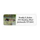 Search for brown animal return address labels Equine