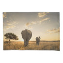 Search for elephant pillowcases Safari