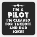 Search for pilot jokes Aviation
