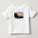 Search for split rock lighthouse tshirts Great lake