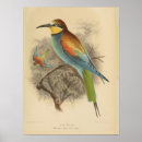 Search for illustration posters Bird