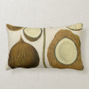Recherche de cocotiers coussins Tropical