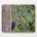 Recherche de profil tapis souris Nature