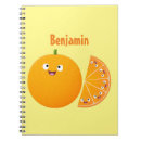 Search for clementine notebooks Orange