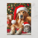 Search for christmas kitten postcards Pet