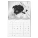 Search for border collie calendars Dog