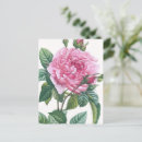 Search for rose leaves postcards Vintage
