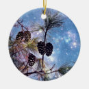 Search for starry night sky ornaments Winter