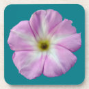 Search for weed coasters Flower