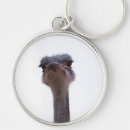 Search for ostrich keychains Birds