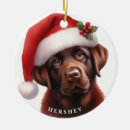 Search for labrador retriever ornaments Animal