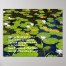 Search for peace flower photography Lily pads