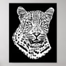 Search for white snow leopard posters Leopards