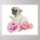 Search for pug posters Flowers