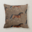 Search for english country pillows British